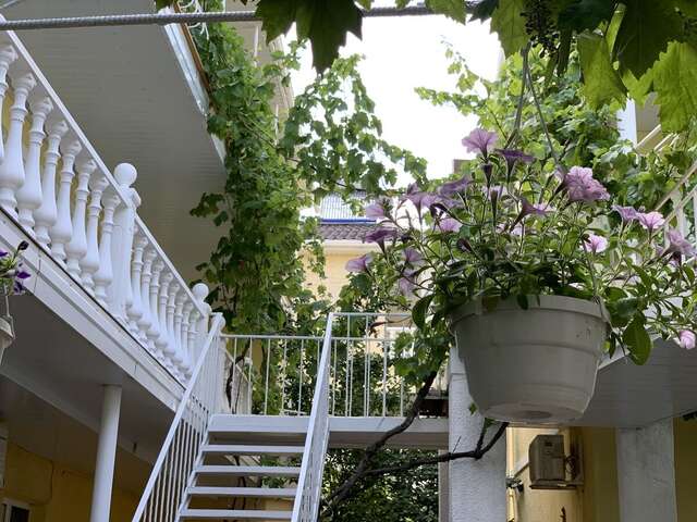 Мини-отель Hotel Lev Затока-18